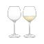 Zestaw 2 kieliszków do białego wina Rosendahl Premium